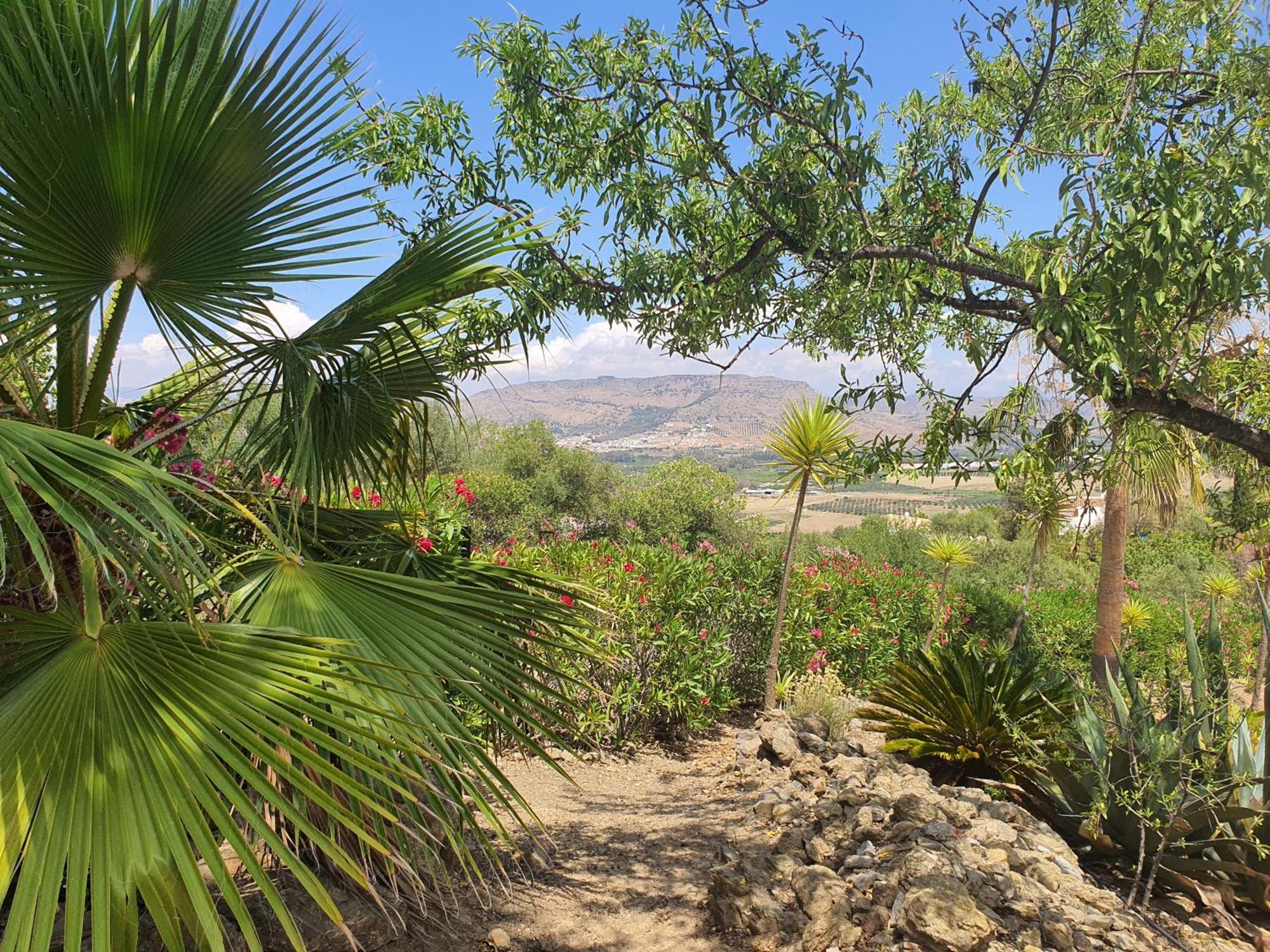 Finca Flamenco Holiday Suites Adults Only Pizarra Kültér fotó